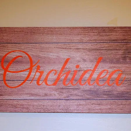 Mi Sueño, Tranquillità Nella Natura Martignacco